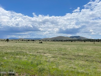Tract 3 County Road N1334, Greer, AZ, 85927