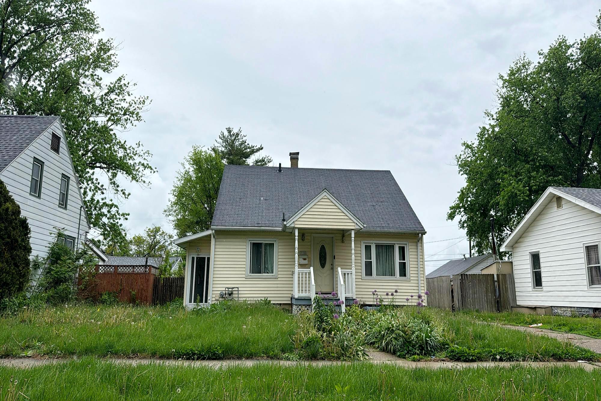Main image