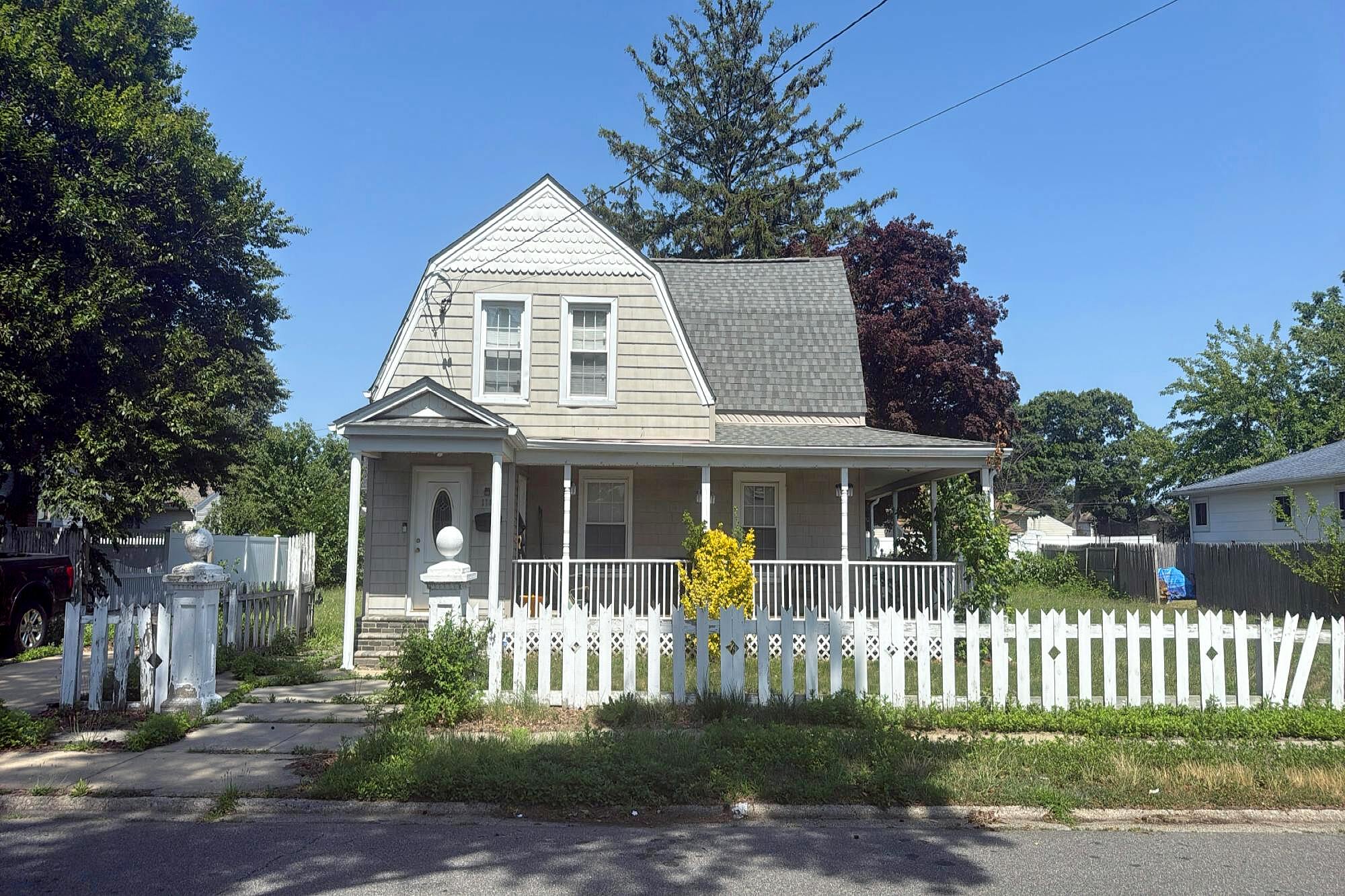 Main image