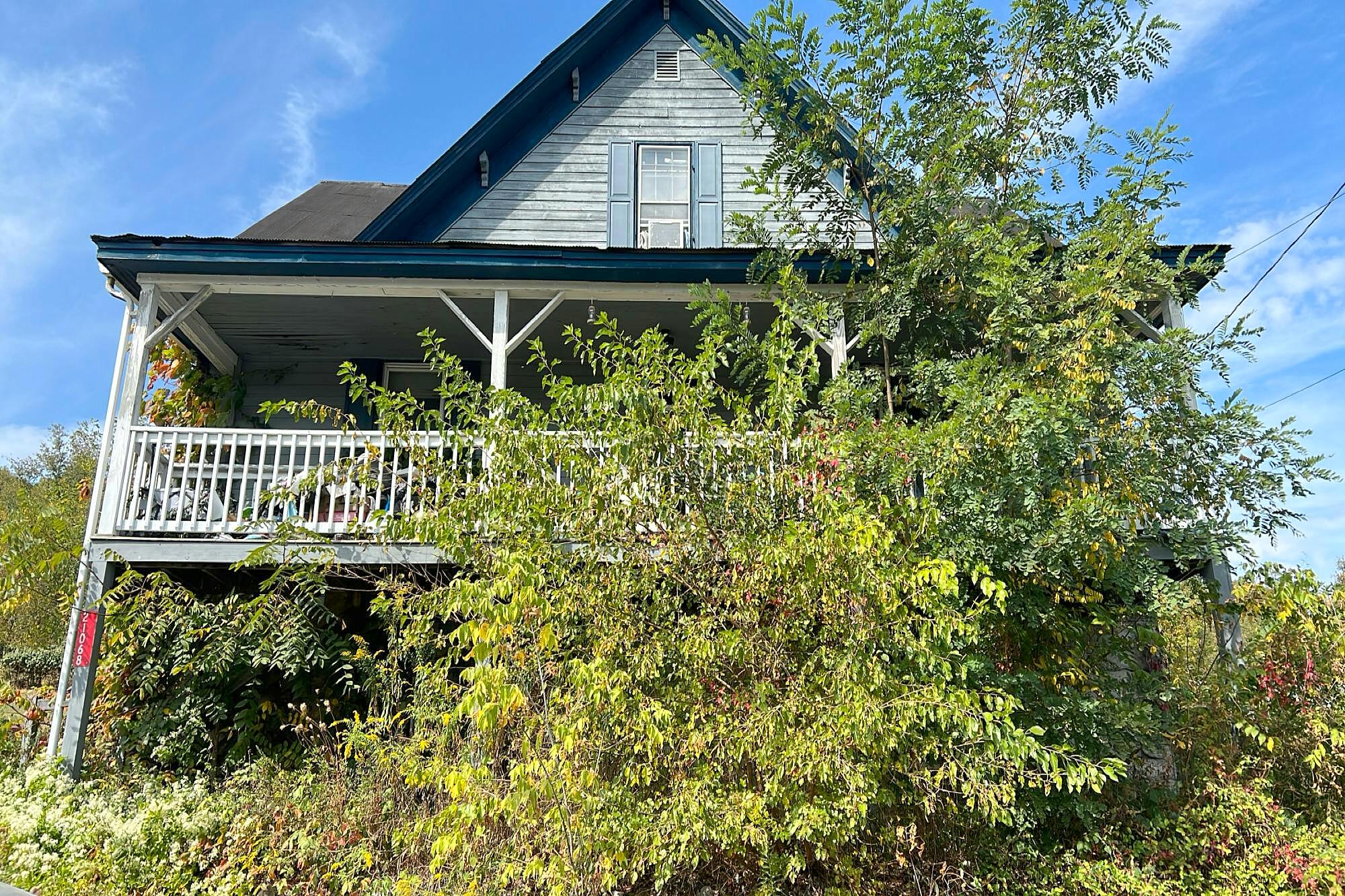 Main image