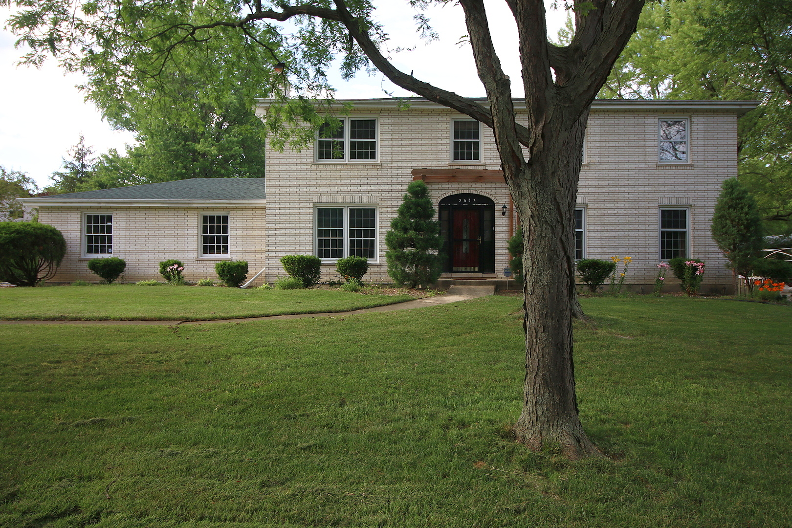 Main image
