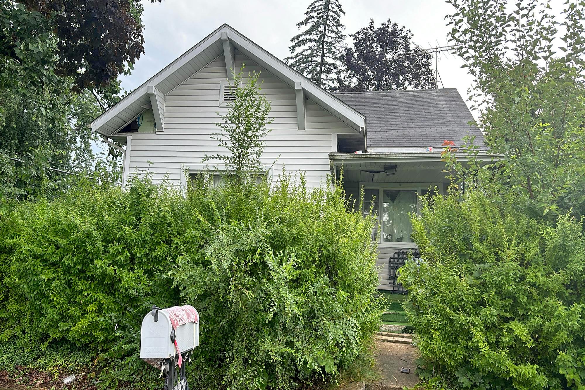 Main image