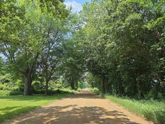 Featured Property