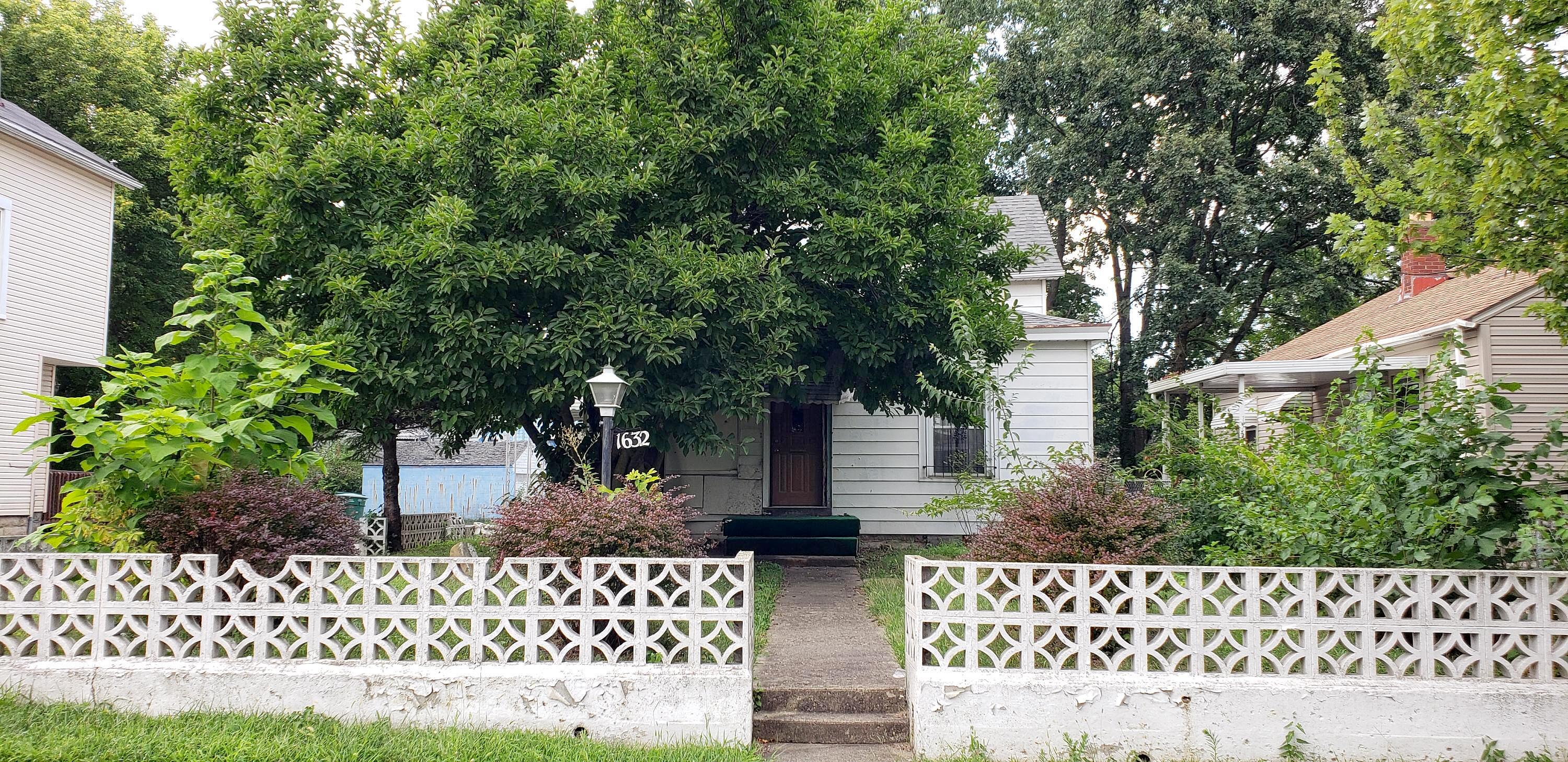 Main image