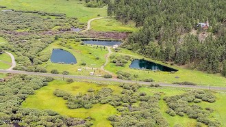 373 Greer Meadows Lakes, Greer, AZ, 85927
