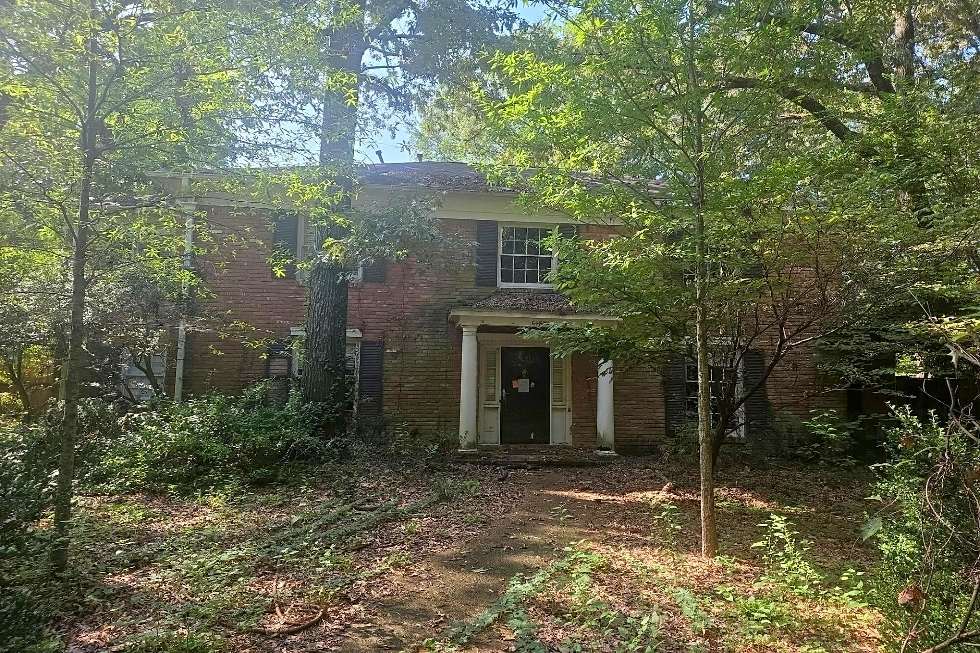 Main image
