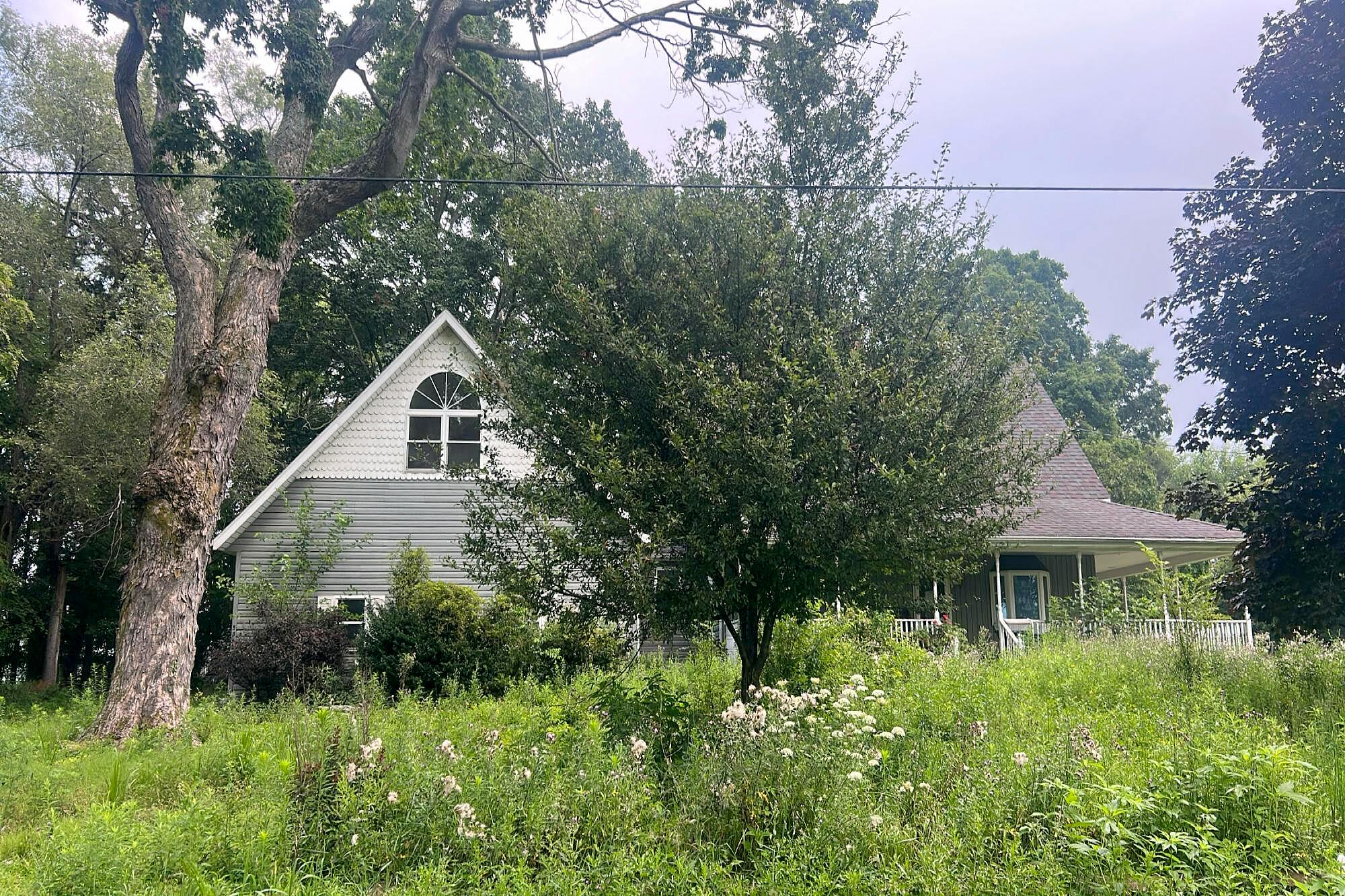 Main image