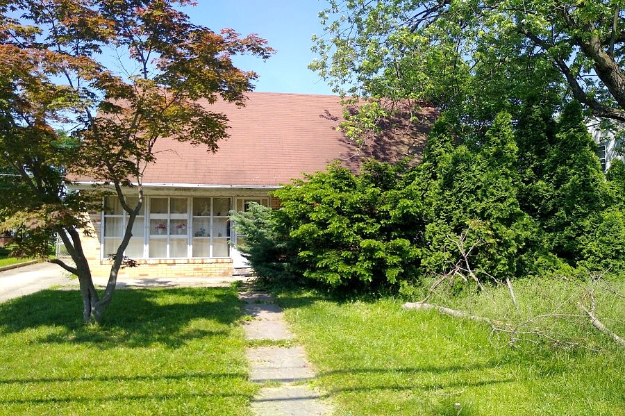 Main image