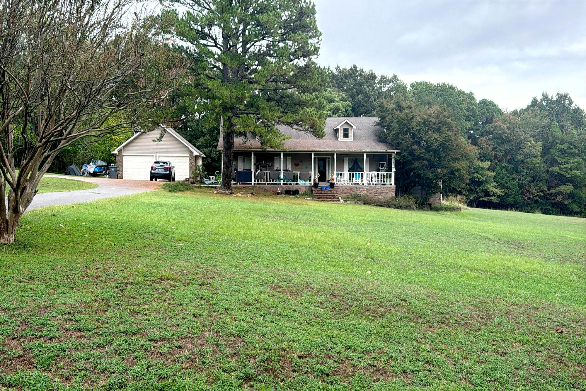 Main image