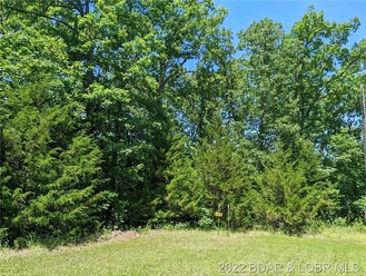 Lot 12 Northeast 1031 Private Road, LOWRY CITY, MO, 64763