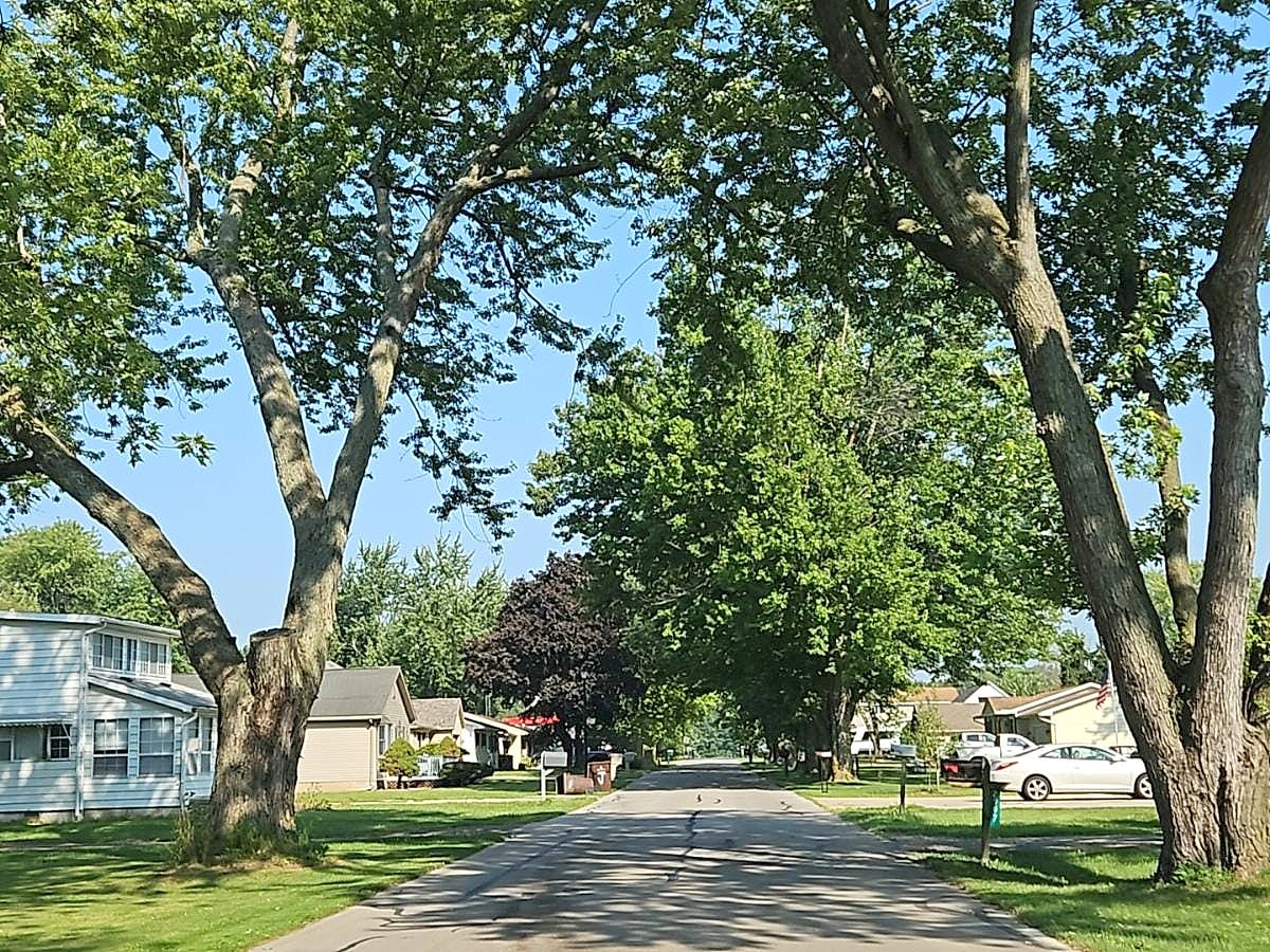 Main image