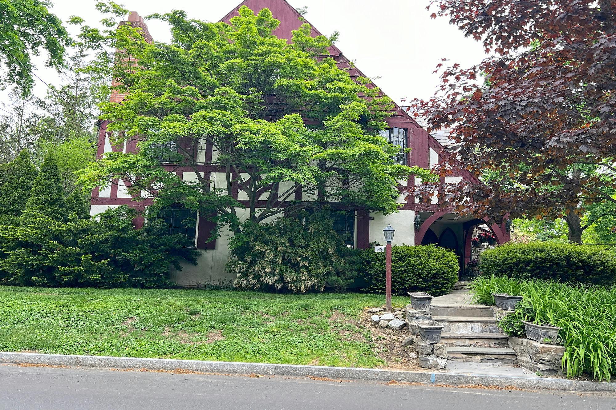 Main image
