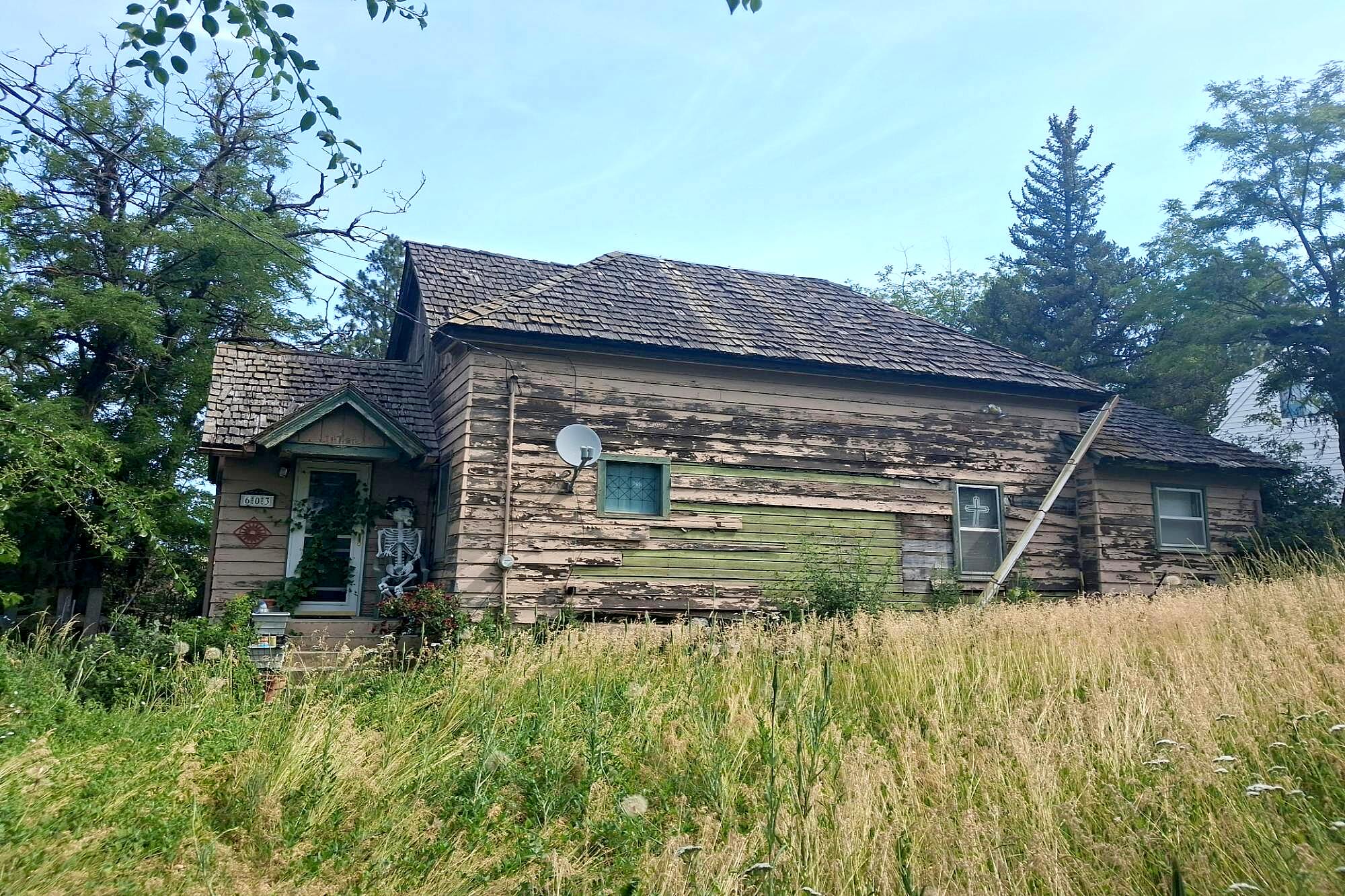 Main image