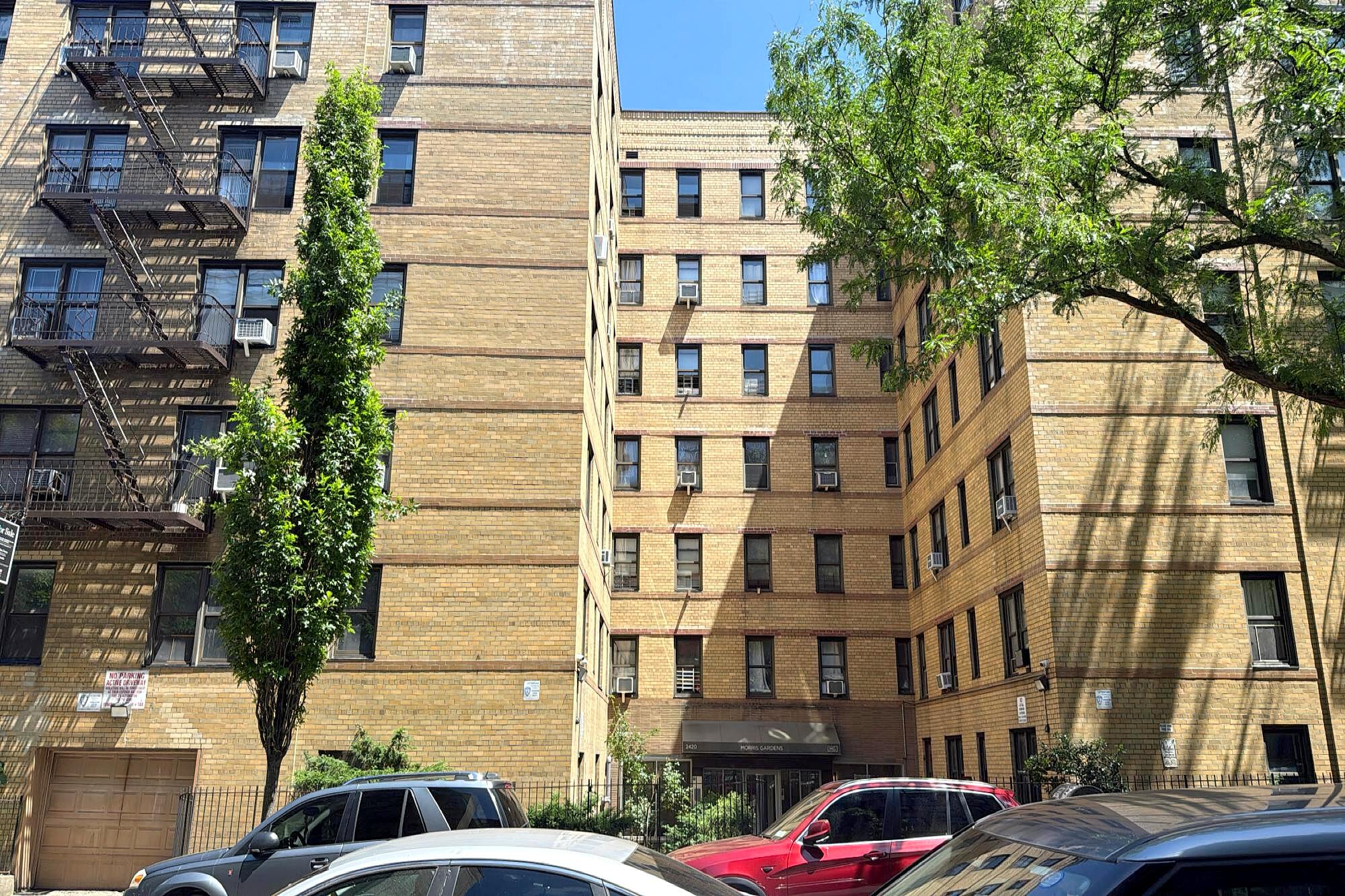 Main image