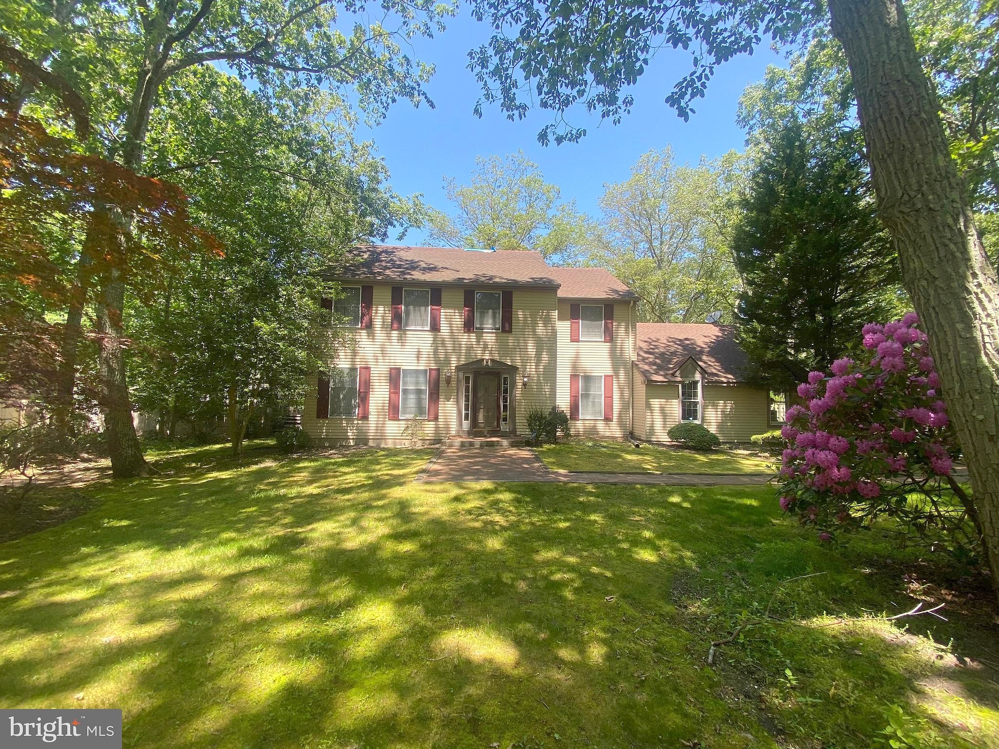 Main image