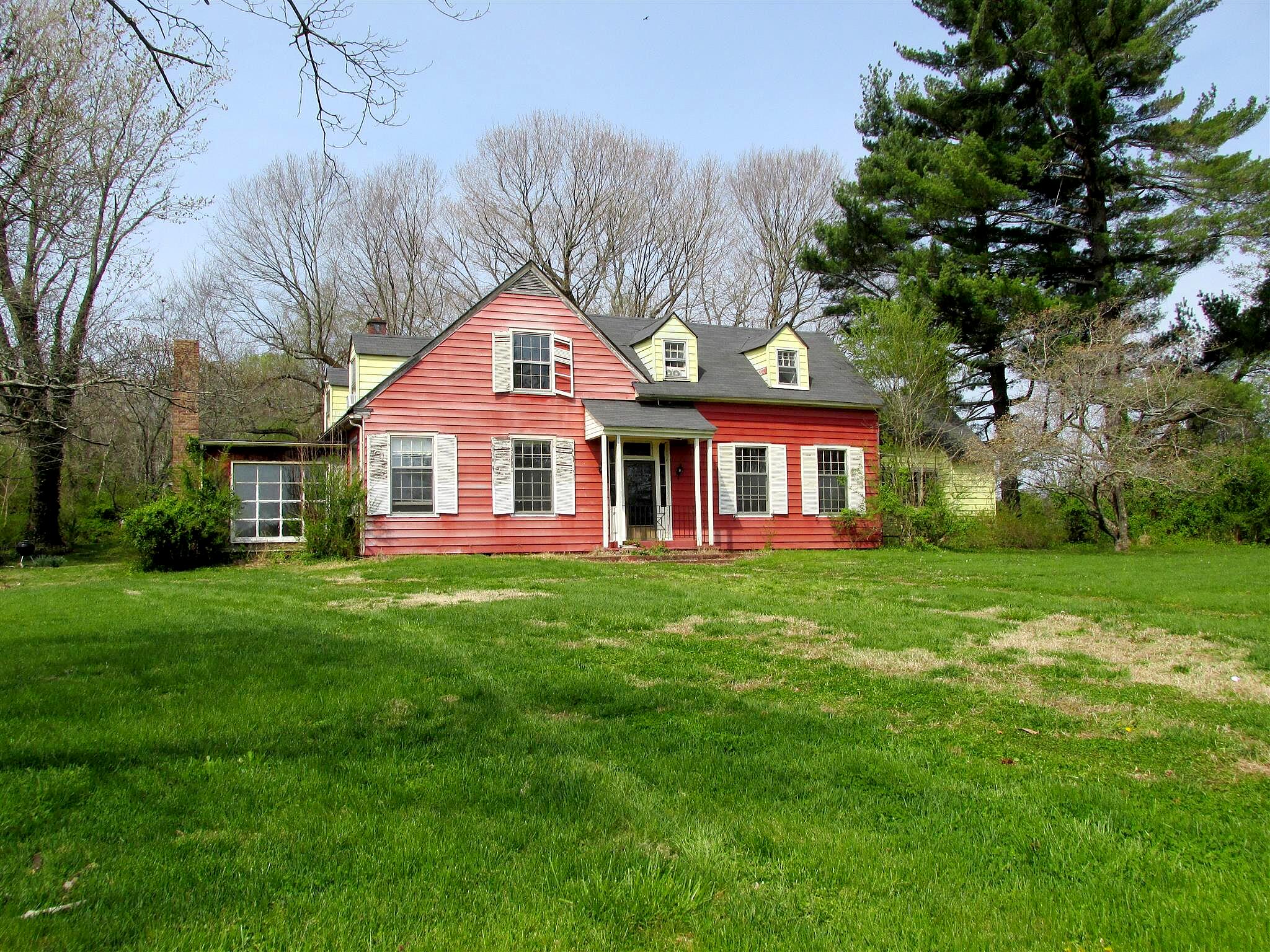 Main image