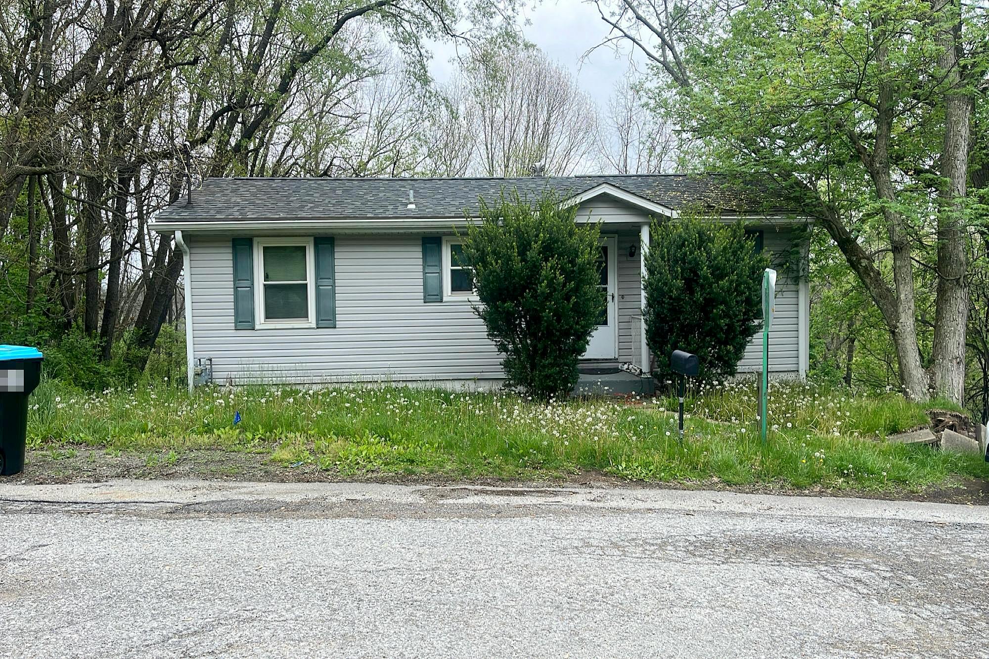 Main image