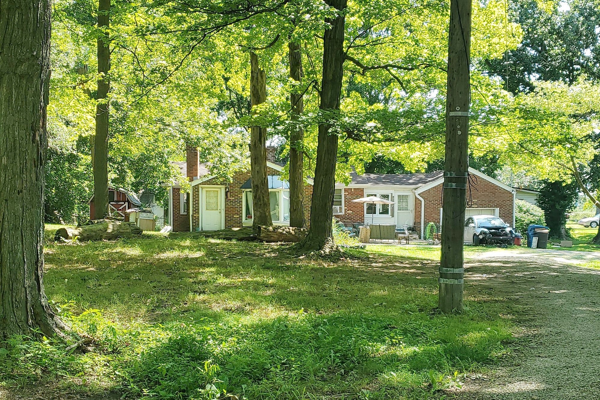 Main image