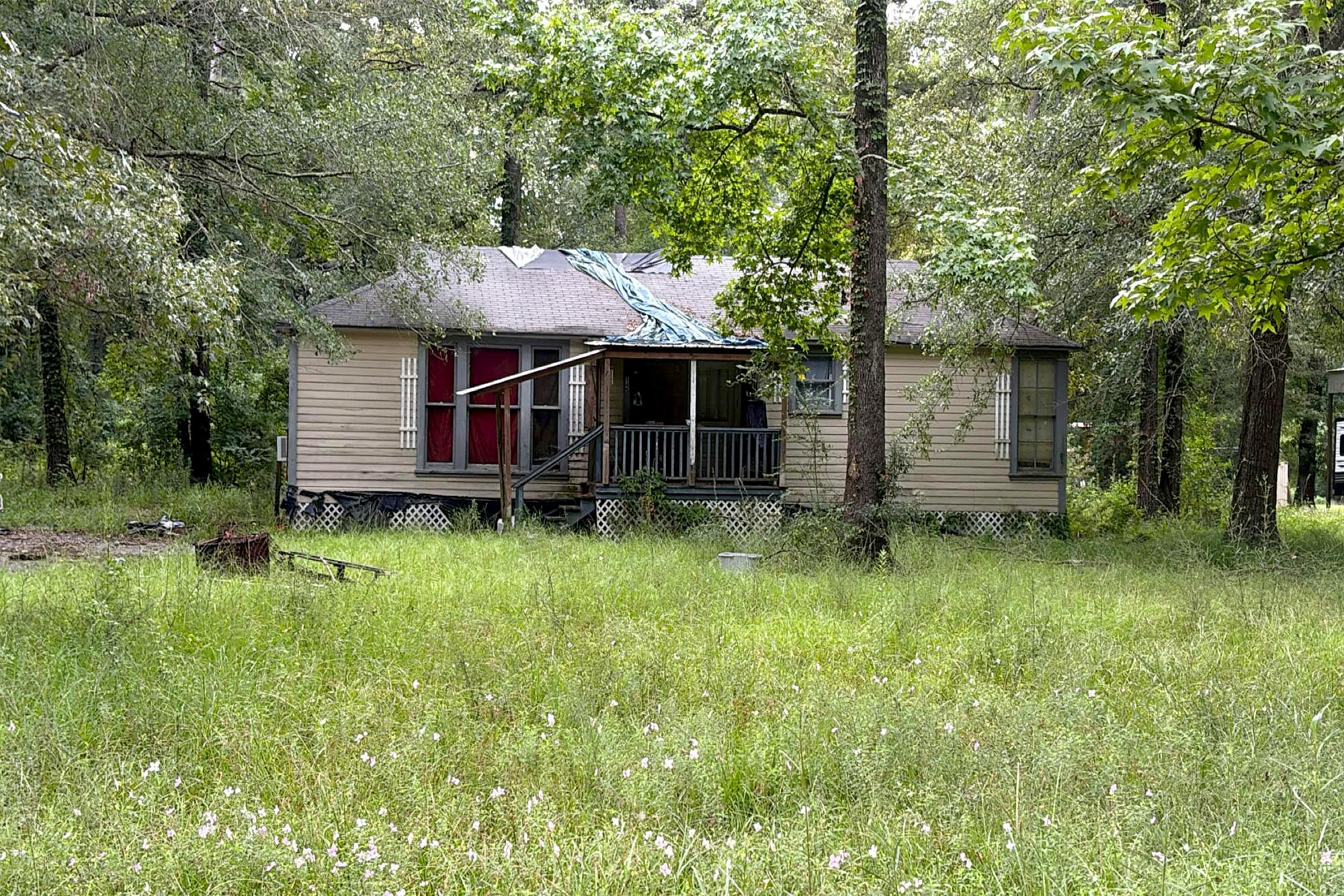 Main image