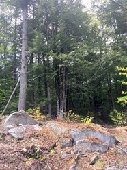 206-011 Lost River Road, Woodstock, NH, 03293