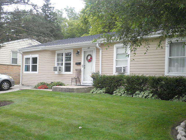 Main image