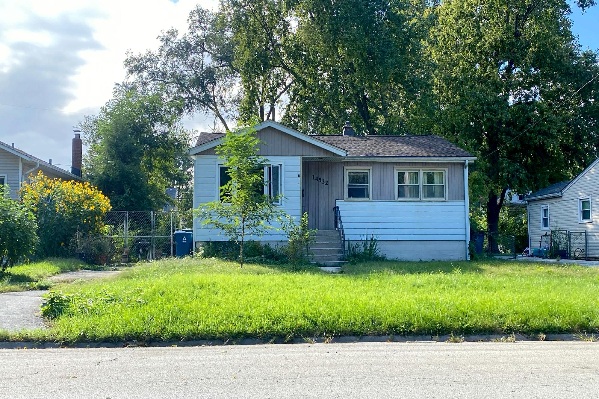 Main image