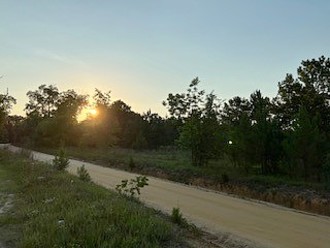 0 Hwy 25 North, Millen, GA, 30442