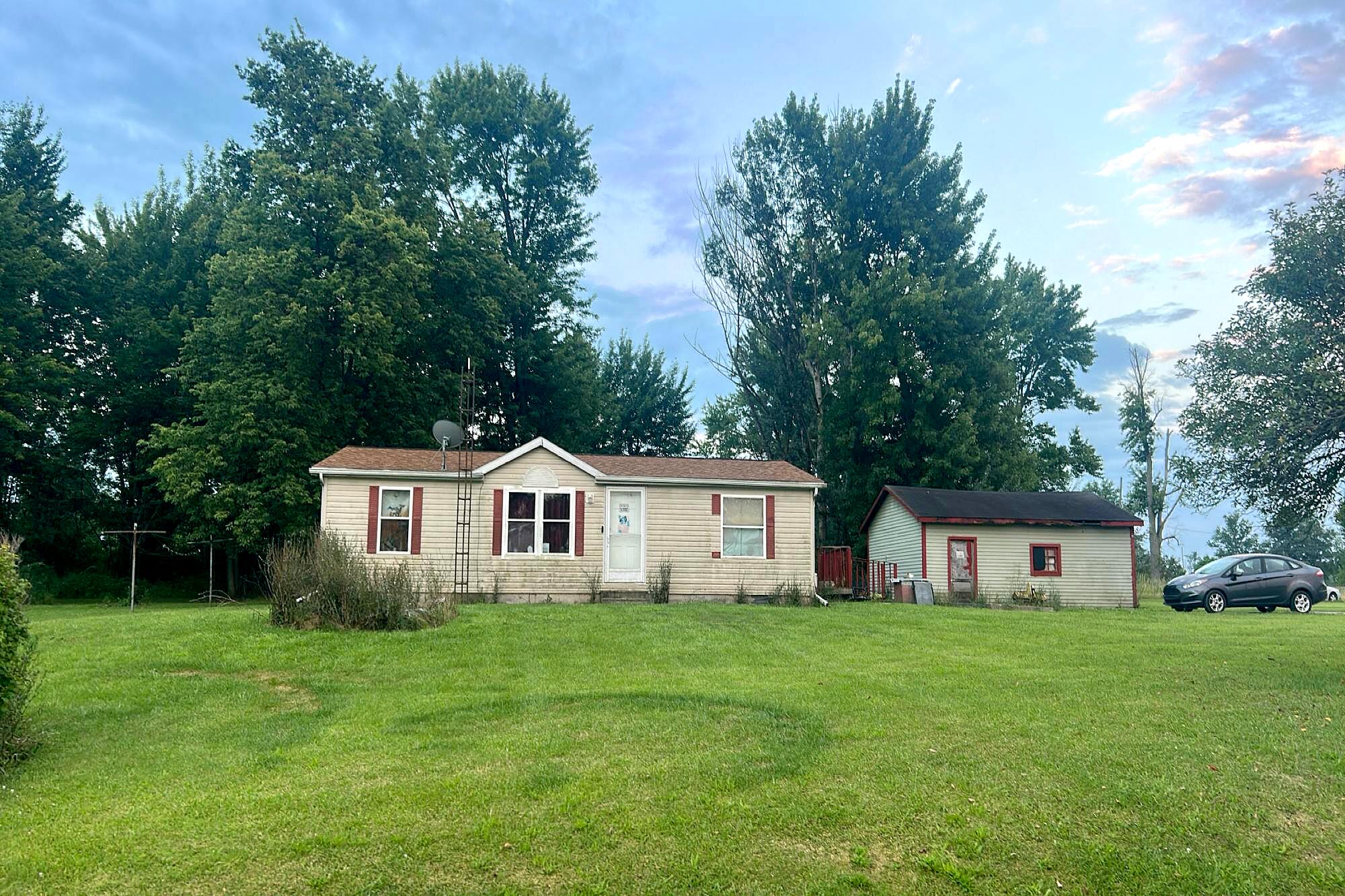 Main image