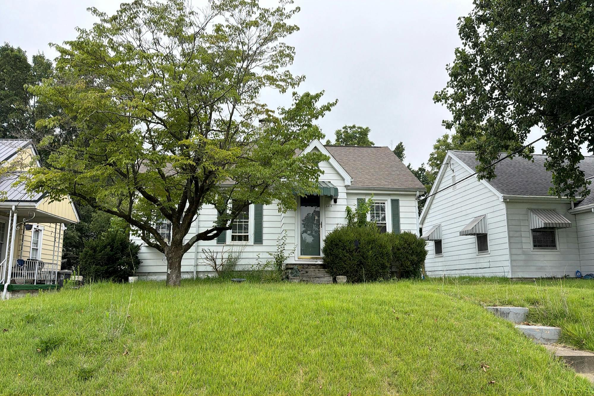 Main image