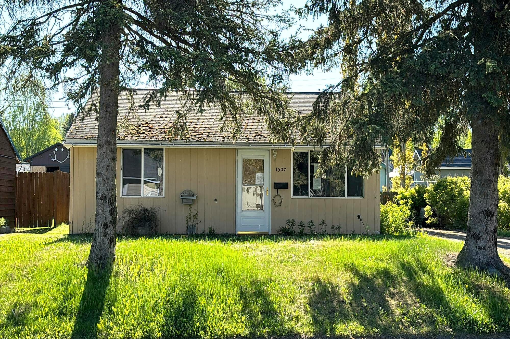 Main image