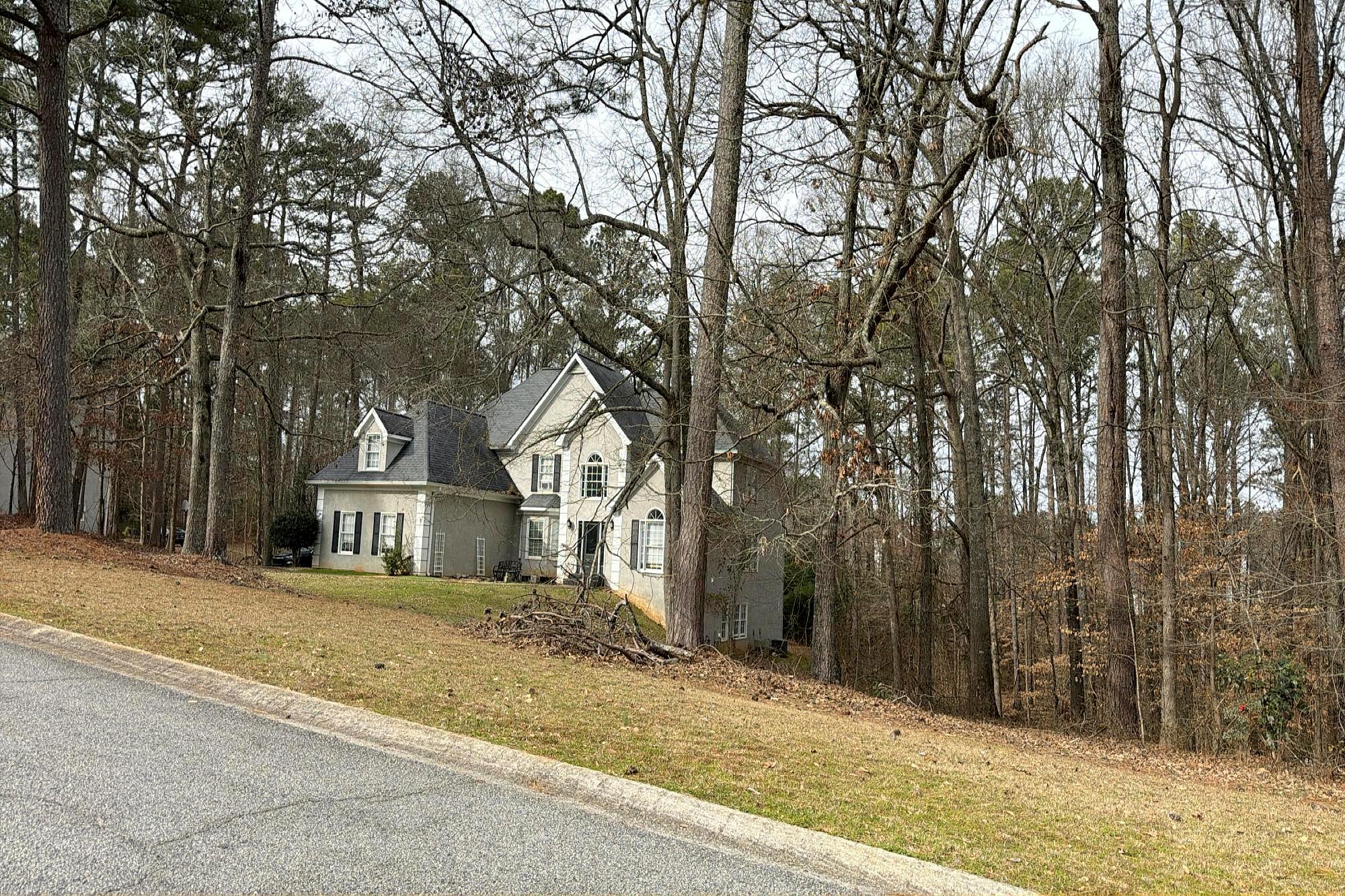 Main image