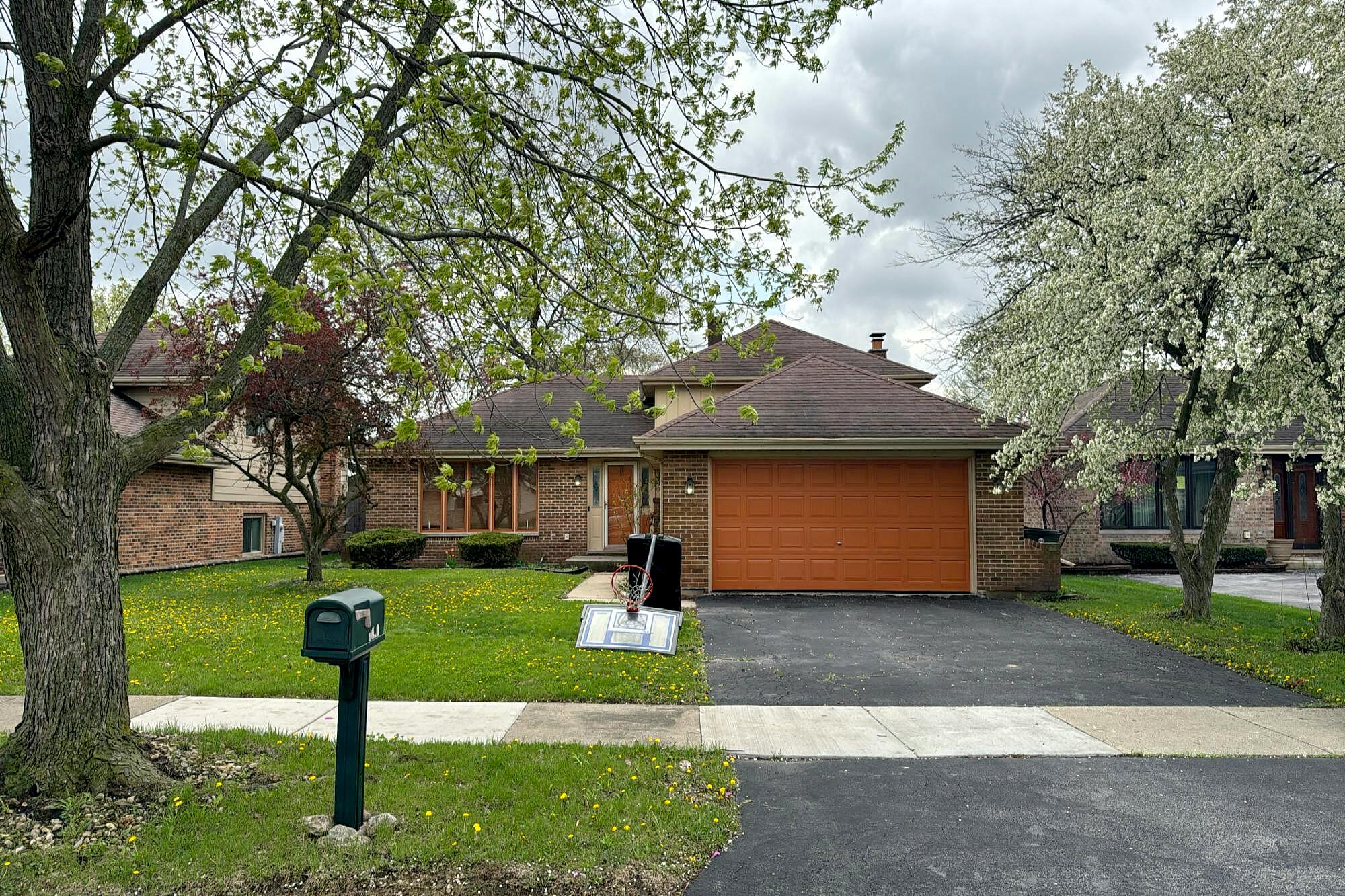 Main image