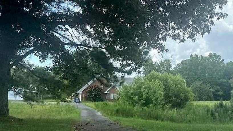 Main image