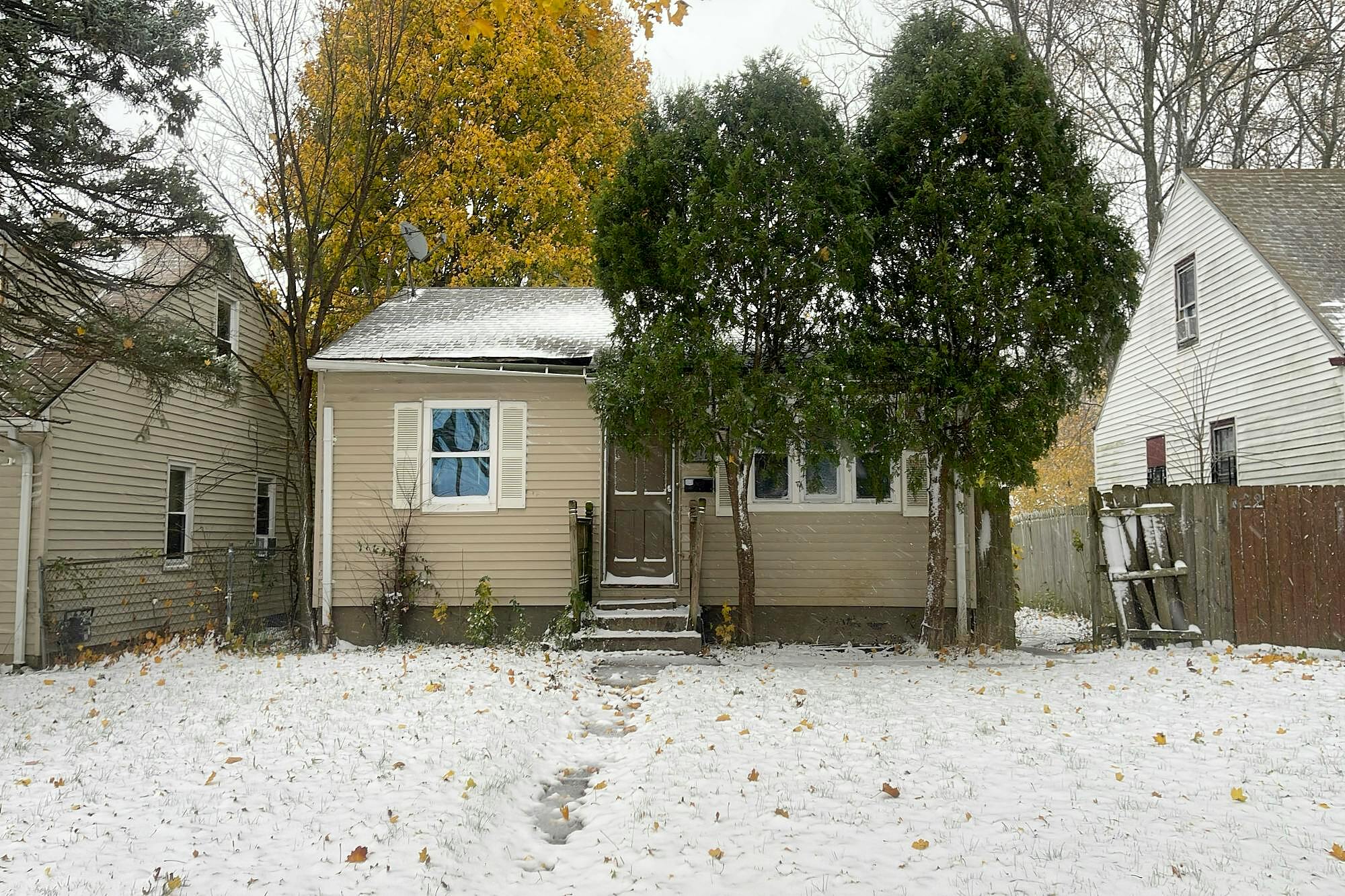 Main image