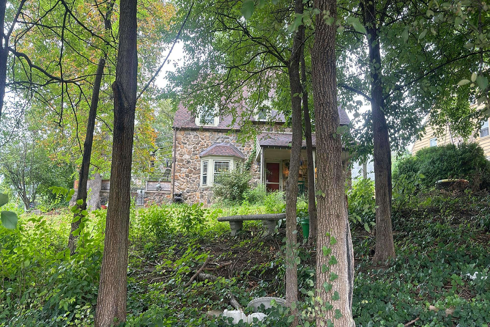 Main image