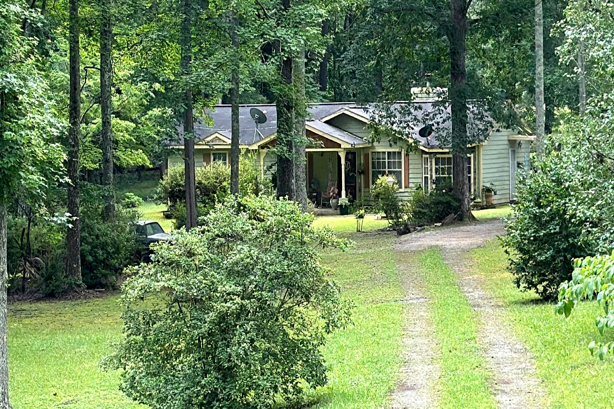 Main image