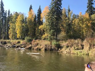 Chena River, Fairbanks, AK, 99705