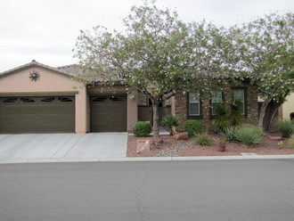 5290 La Terra Ave, Pahrump, NV, 89061
