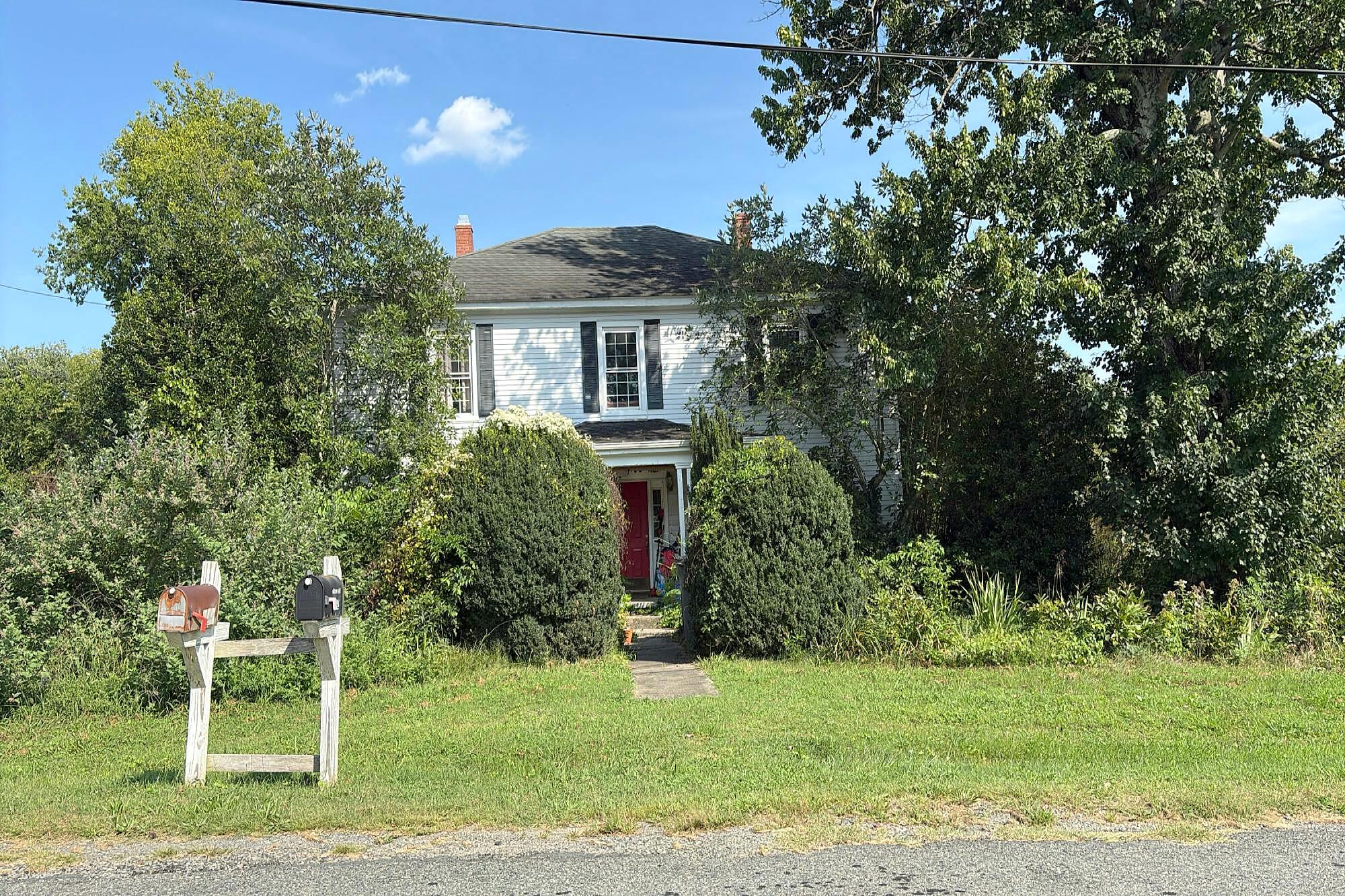 Main image