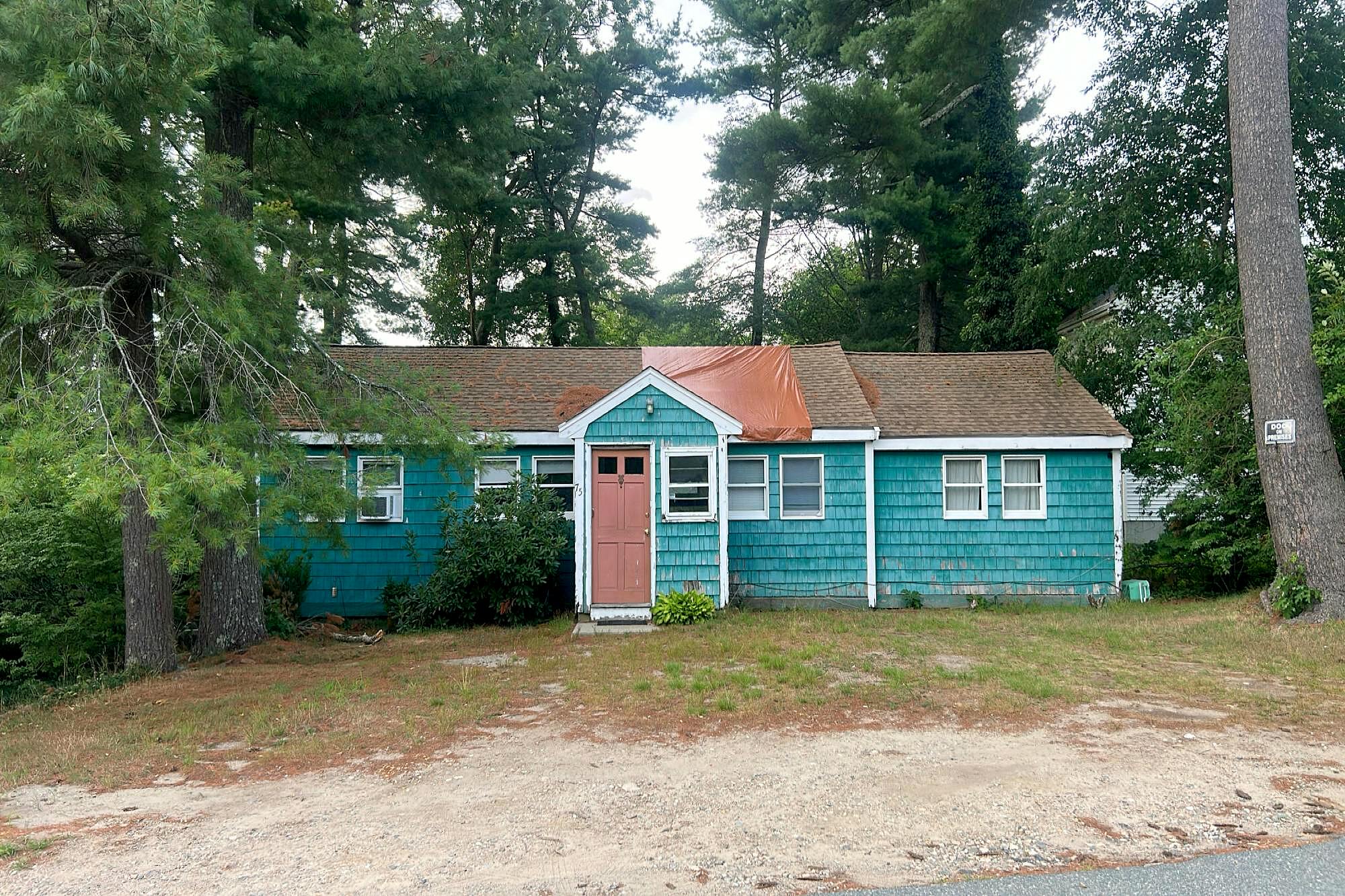 Main image