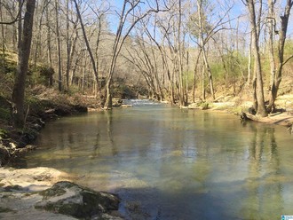 0 County Road 1749 31, Holly Pond, AL, 35083