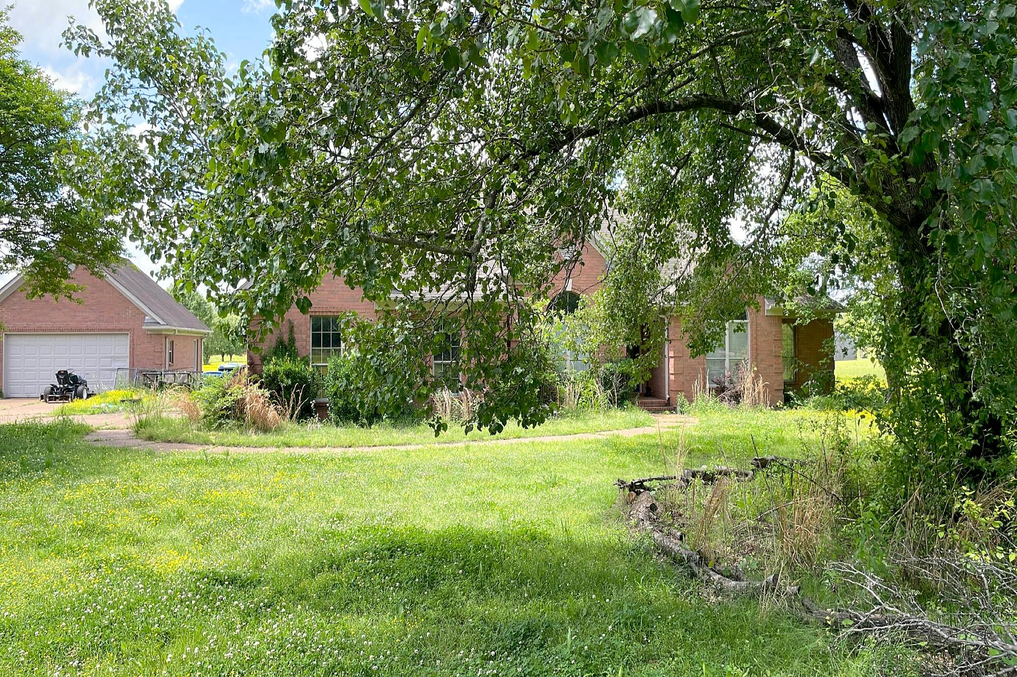 Main image