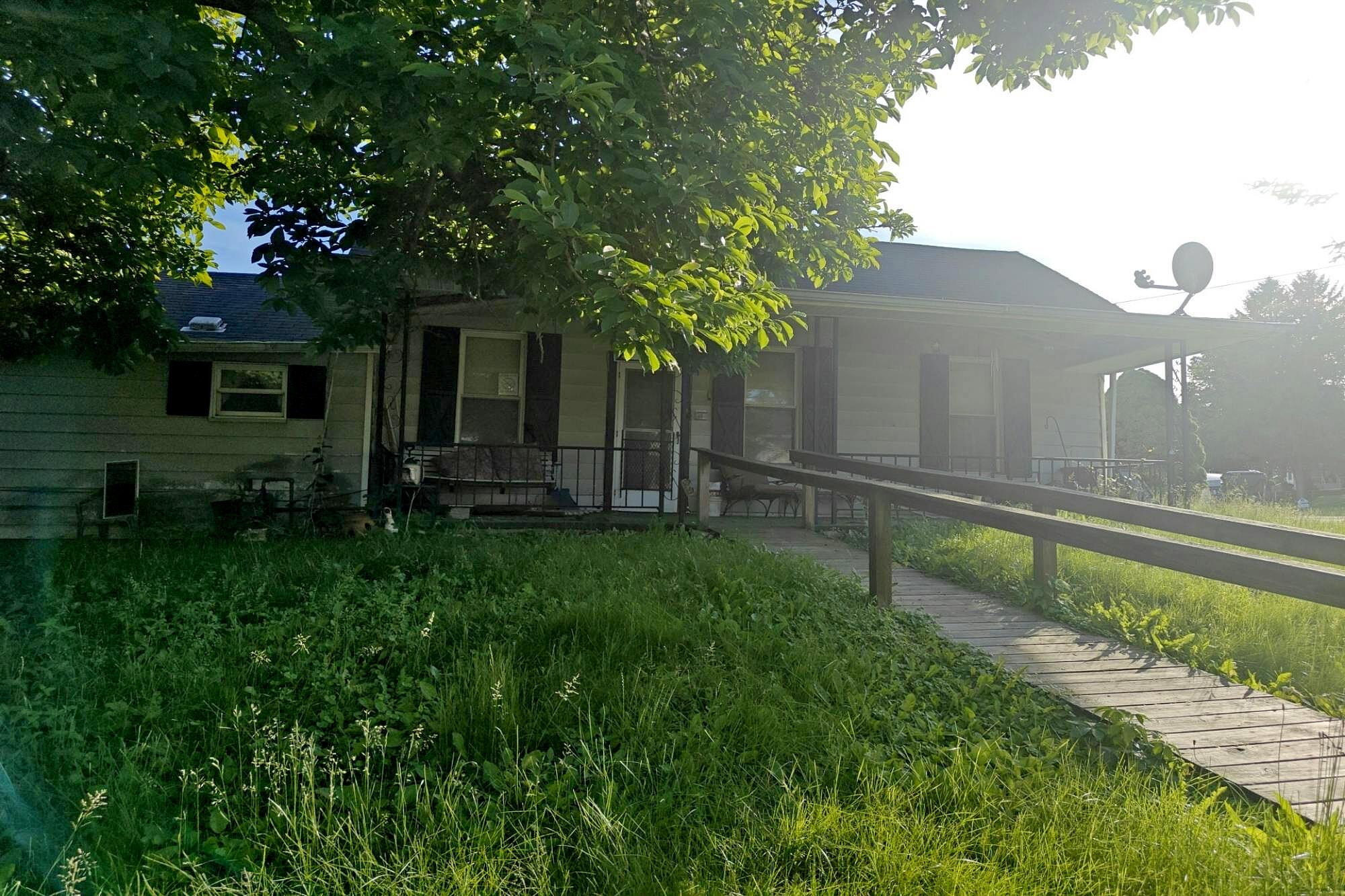 Main image
