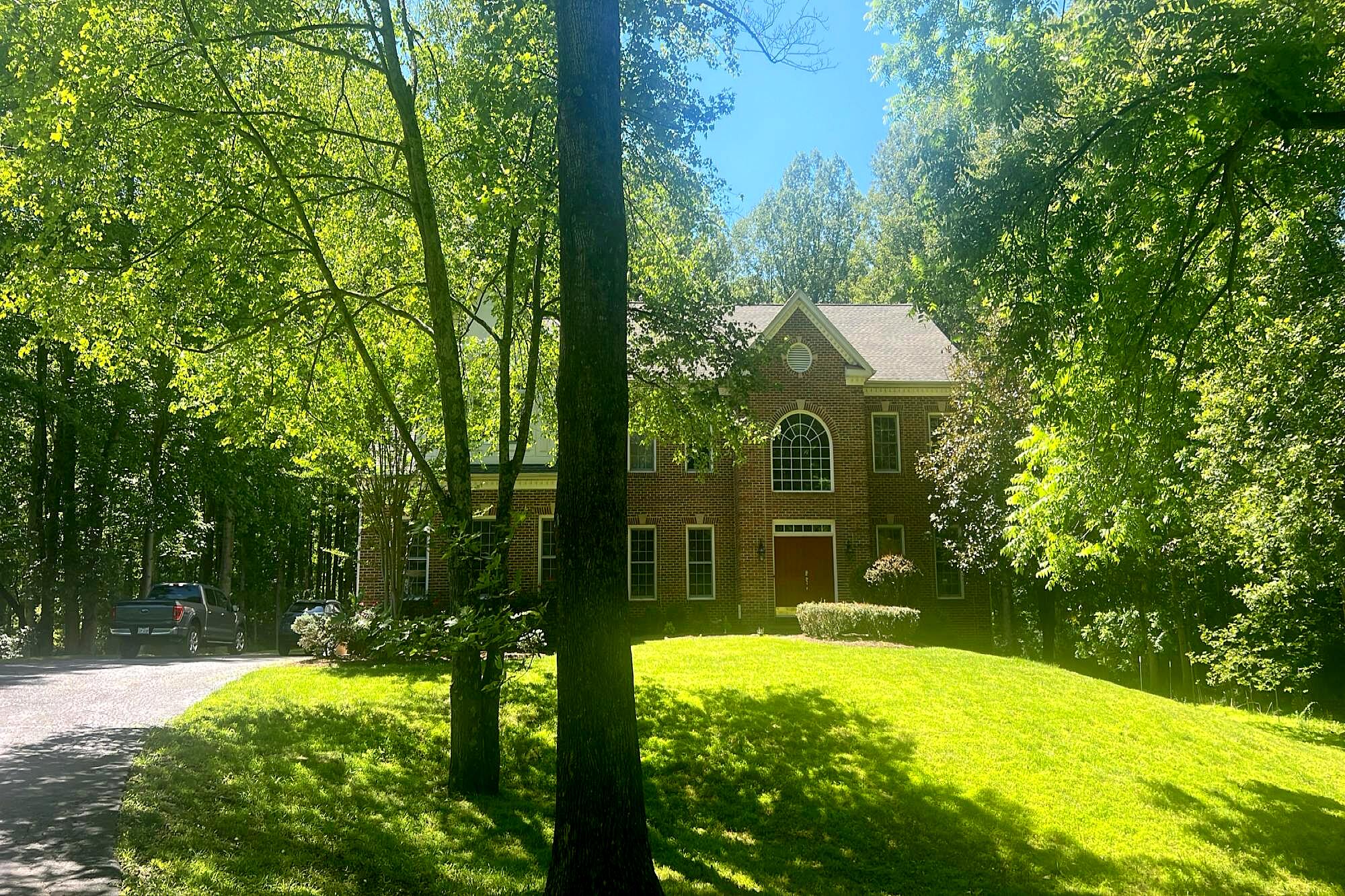 Main image