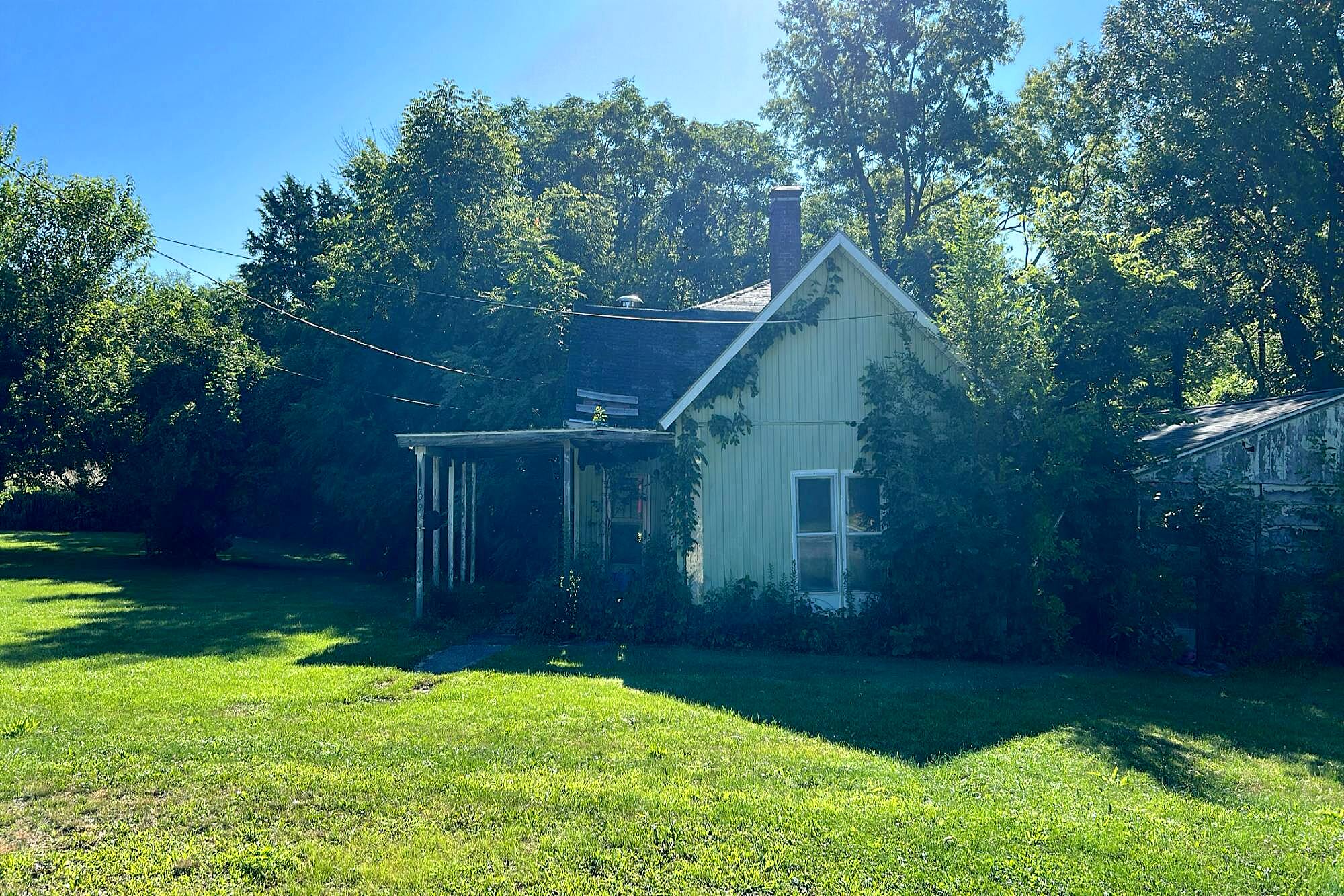 Main image