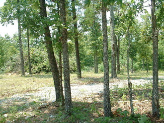 Linwood Dr, Mountain Home, AR, 72653