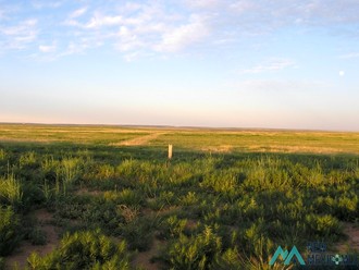 80 -ac Tract 1 38 Miles North Of Roy Nm, Roy, NM, 87743