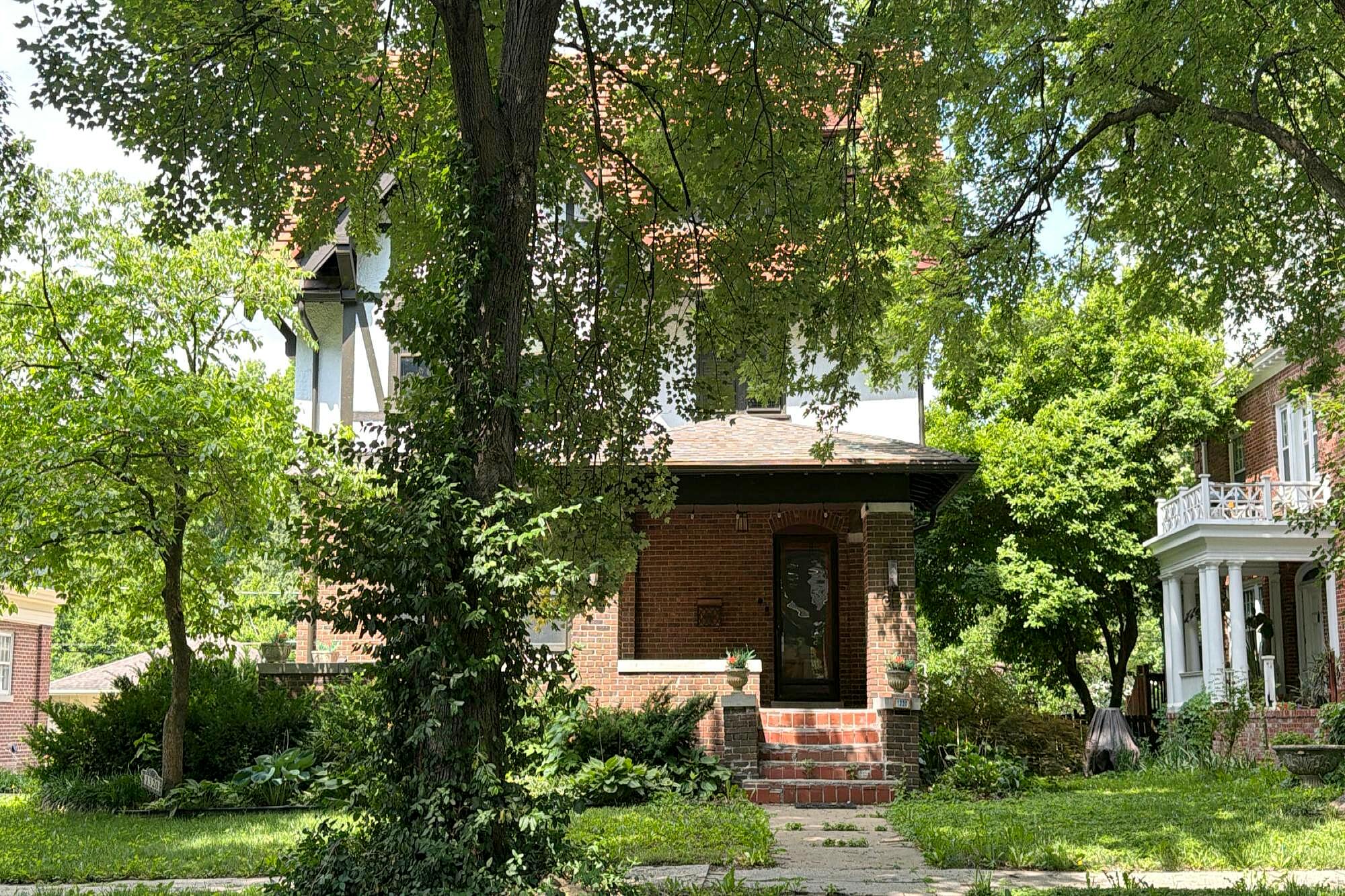 Main image